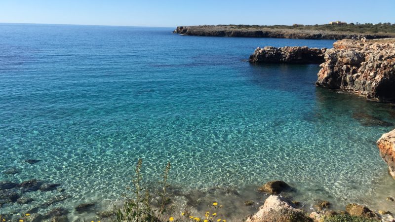 Calma Estudis, Recording studio Mallorca.